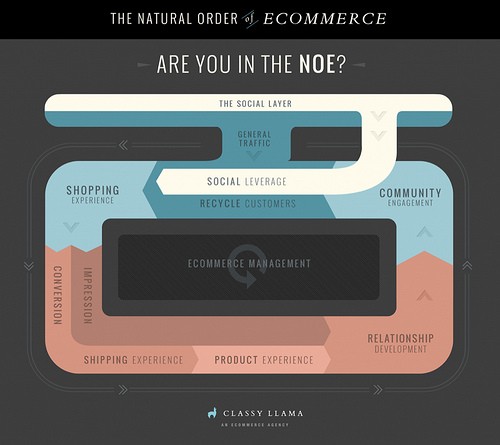 The Natural Order of E Commerce - Competing in a Strained Economy: How to Improve your ECommerce Website